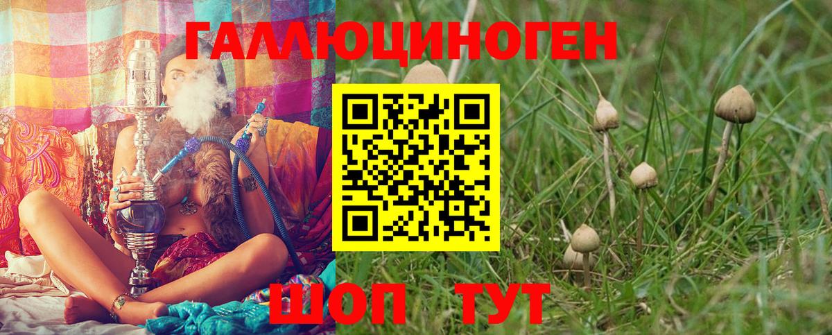 Псилоцибиновые грибы GOLDEN TEACHER  Вход с VPN  Бахчисарай 